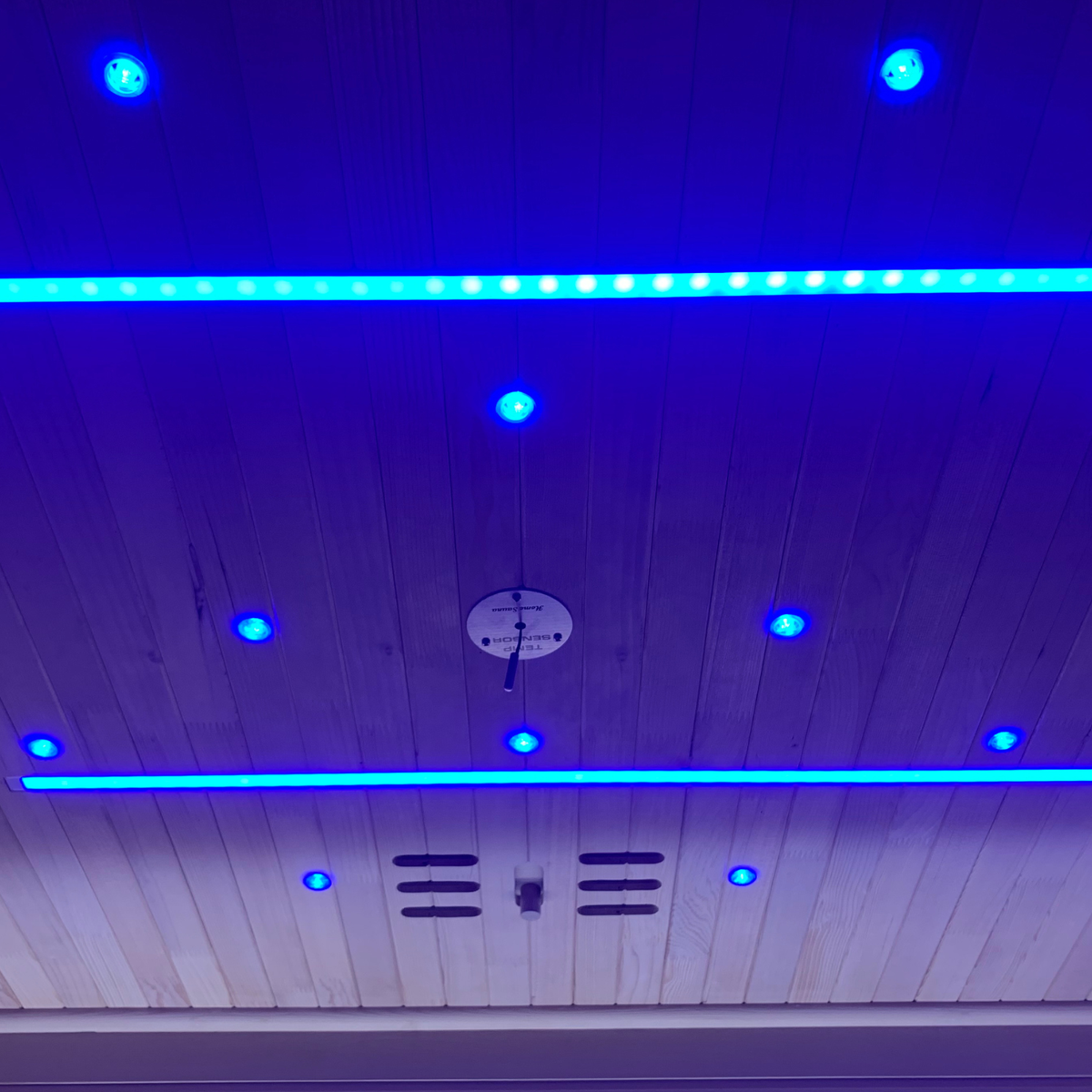 Blisspod | Bergen | Full Spectrum Ultimate Indoor Sauna | Red Light Therapy | 2 Person