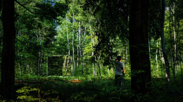 Person walking through a forest with sunlight filtering through the trees