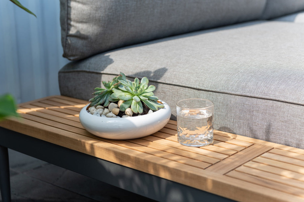 Potted succulent on a wooden table