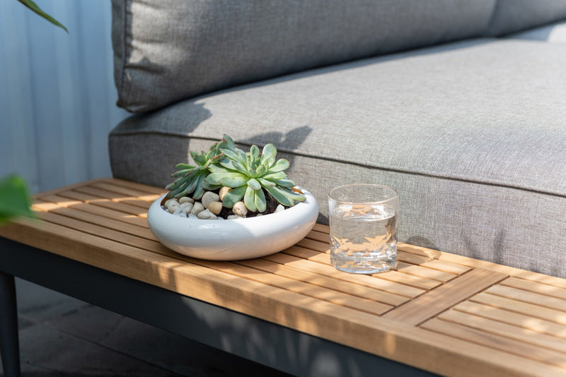 Potted succulent on a wooden table